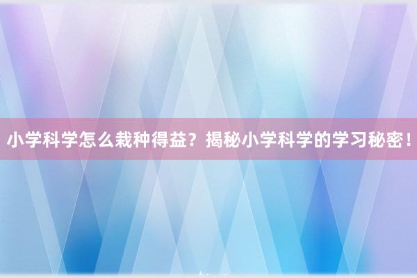 小学科学怎么栽种得益？揭秘小学科学的学习秘密！