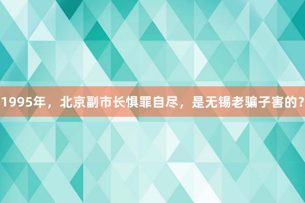 1995年，北京副市长惧罪自尽，是无锡老骗子害的？